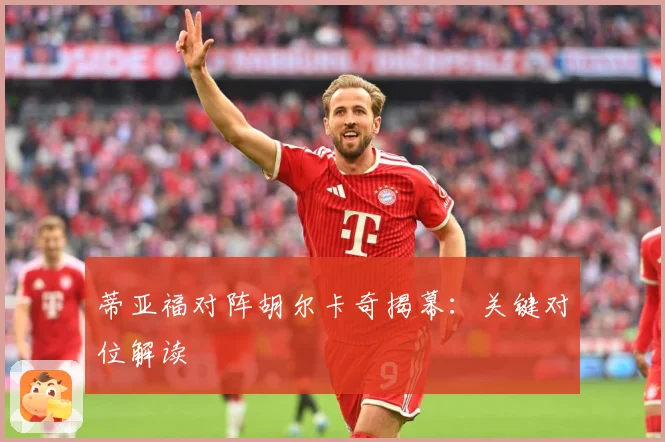 蒂亚福对阵胡尔卡奇揭幕：关键对位解读