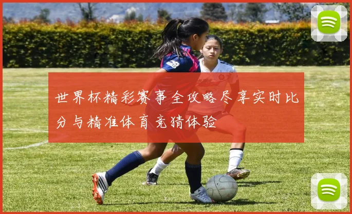 世界杯精彩赛事全攻略尽享实时比分与精准体育竞猜体验