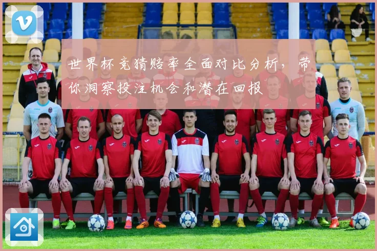 世界杯竞猜赔率全面对比分析，带你洞察投注机会和潜在回报
