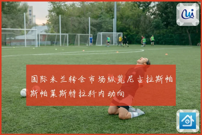 国际米兰转会市场纵览尼古拉斯帕斯帕莱斯特拉科内动向