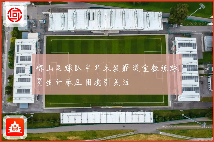 佛山足球队半年未发薪奖金教练球员生计承压困境引关注